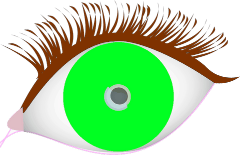 rehaussement teinture cils